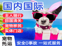 承德普宁机场货运国际宠物托运 【国